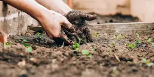 Casa e Jardim eventos